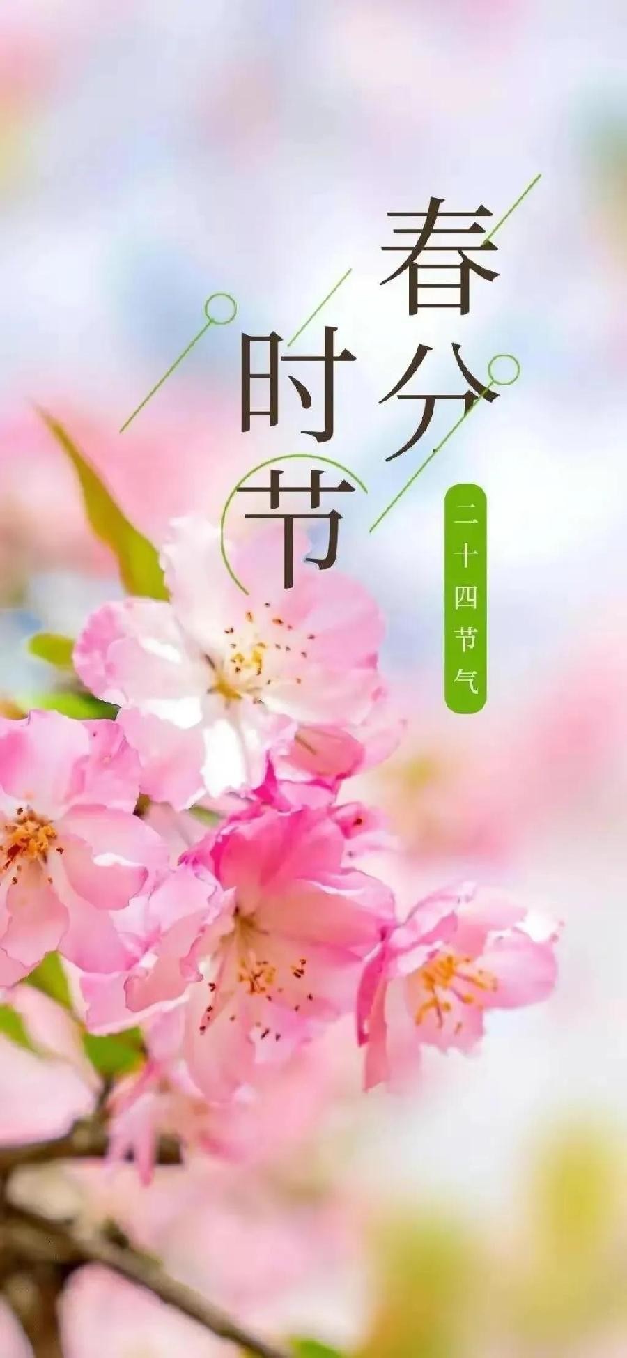 春分日叹春（文/彭云南）……莲叶之珠文学校（图3）