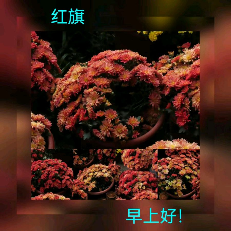 联机全球发布马洪武作品欣赏（图139）