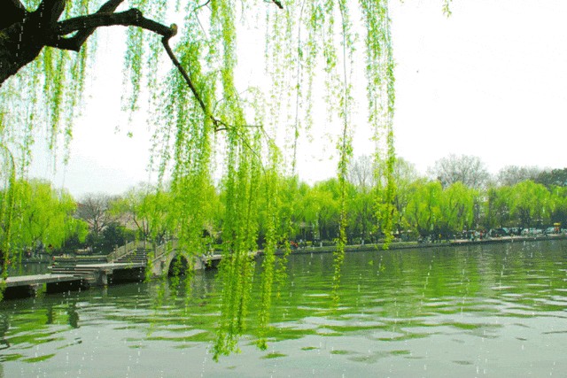 闫荣亮的诗词专辑(图5)