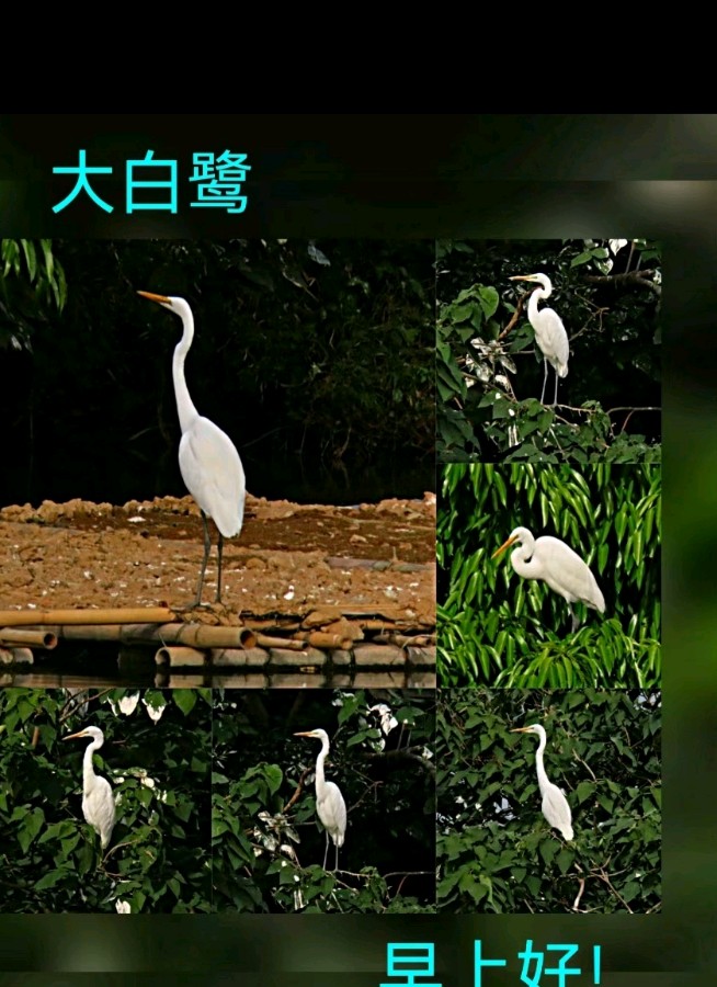 联机全球发布马洪武作品欣赏（图137）