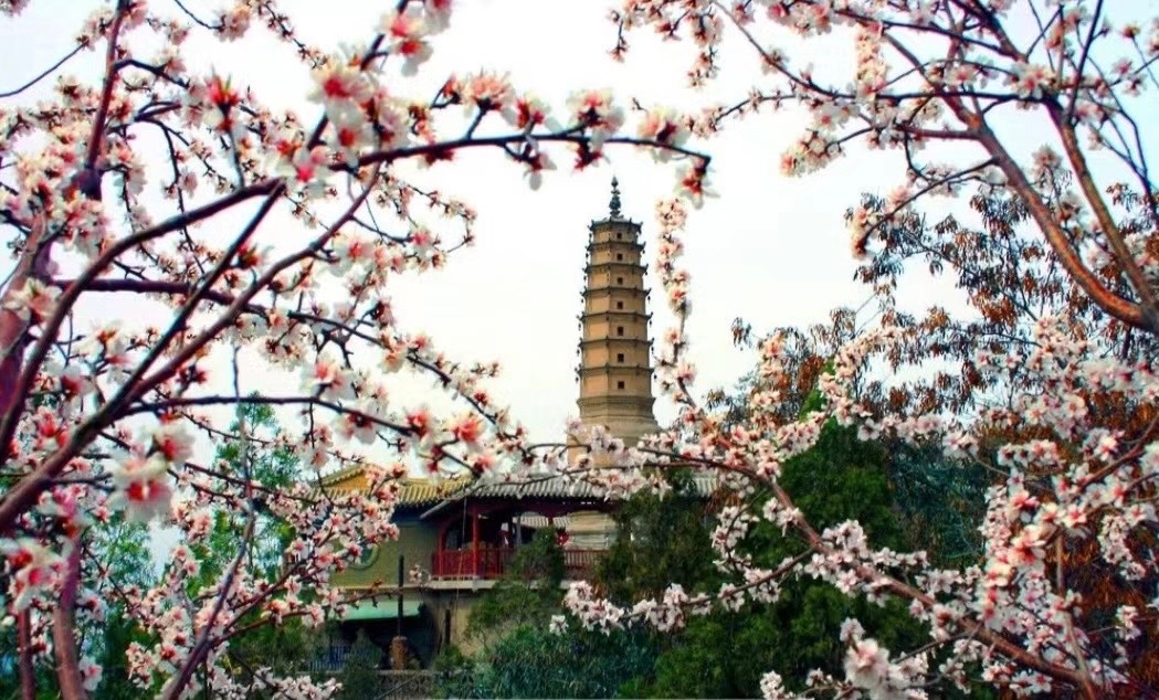 兰州春早 文／渝陇之子 京津沪头条（图5）