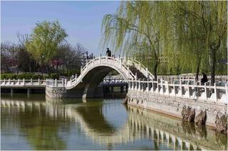 联机全球发布王铁忠作品欣赏（图90）