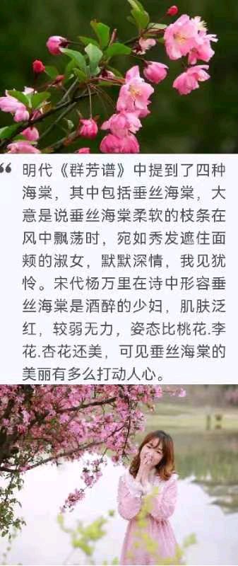 韩庚的《垂丝海棠》