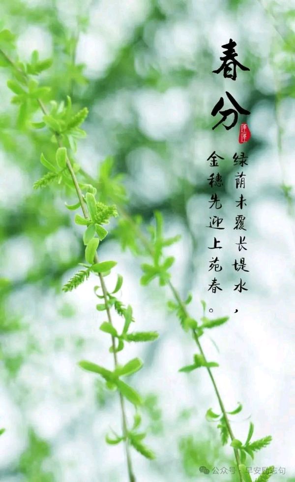 春风爬上柳枝头（绝句轱辘体）