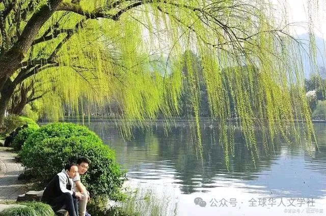 【名家风采】珍惜（外二首）//文：郭红涛//《思归客文苑》征稿//都市头条（图4）