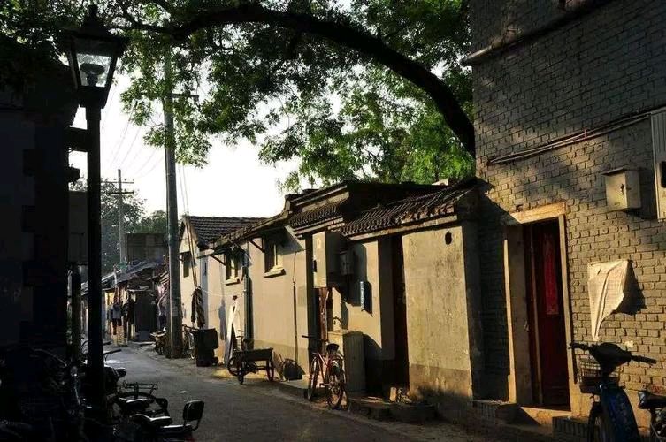 对胡同的留恋 ‖ 作者/任学路 朗诵/弘华（图14）