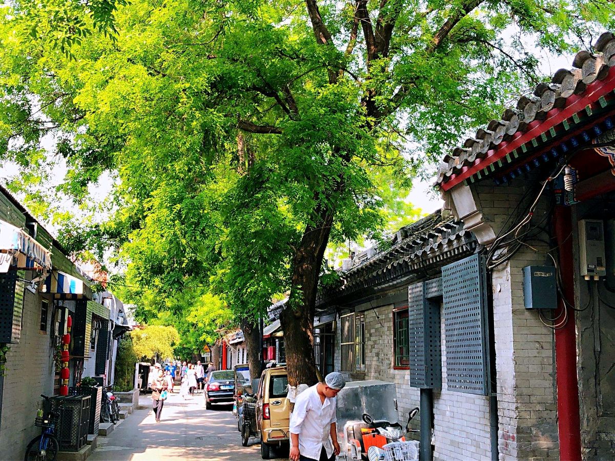 对胡同的留恋 ‖ 作者/任学路 朗诵/弘华（图11）