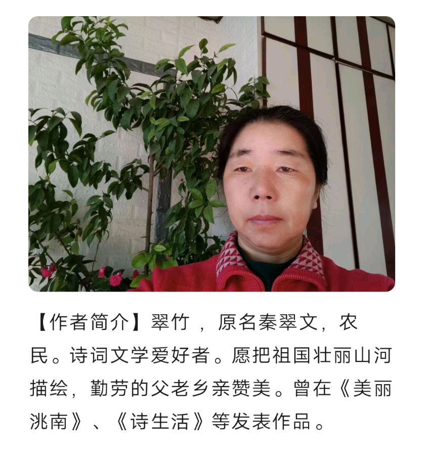 【上海头条】诗歌三人行 239 期（图2）