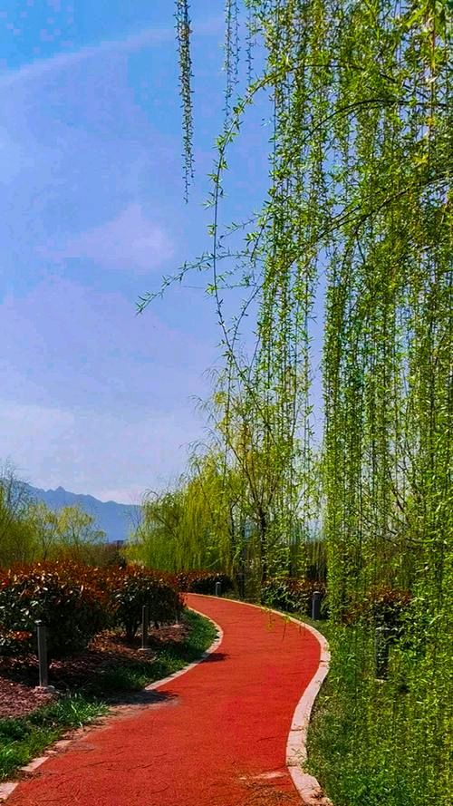 《分春一半》作者:大山【主播:青青草】【桃源国际诗歌文化传媒】用声音传递温暖以诵读致敬人生♬（图7）