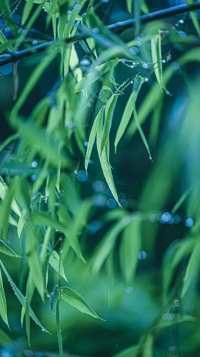 排律-春雨吟～诗||杨景儒（图9）