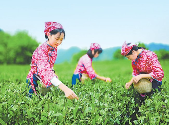 临江仙-心若清净事奈何(组合)词||李振林(图14)