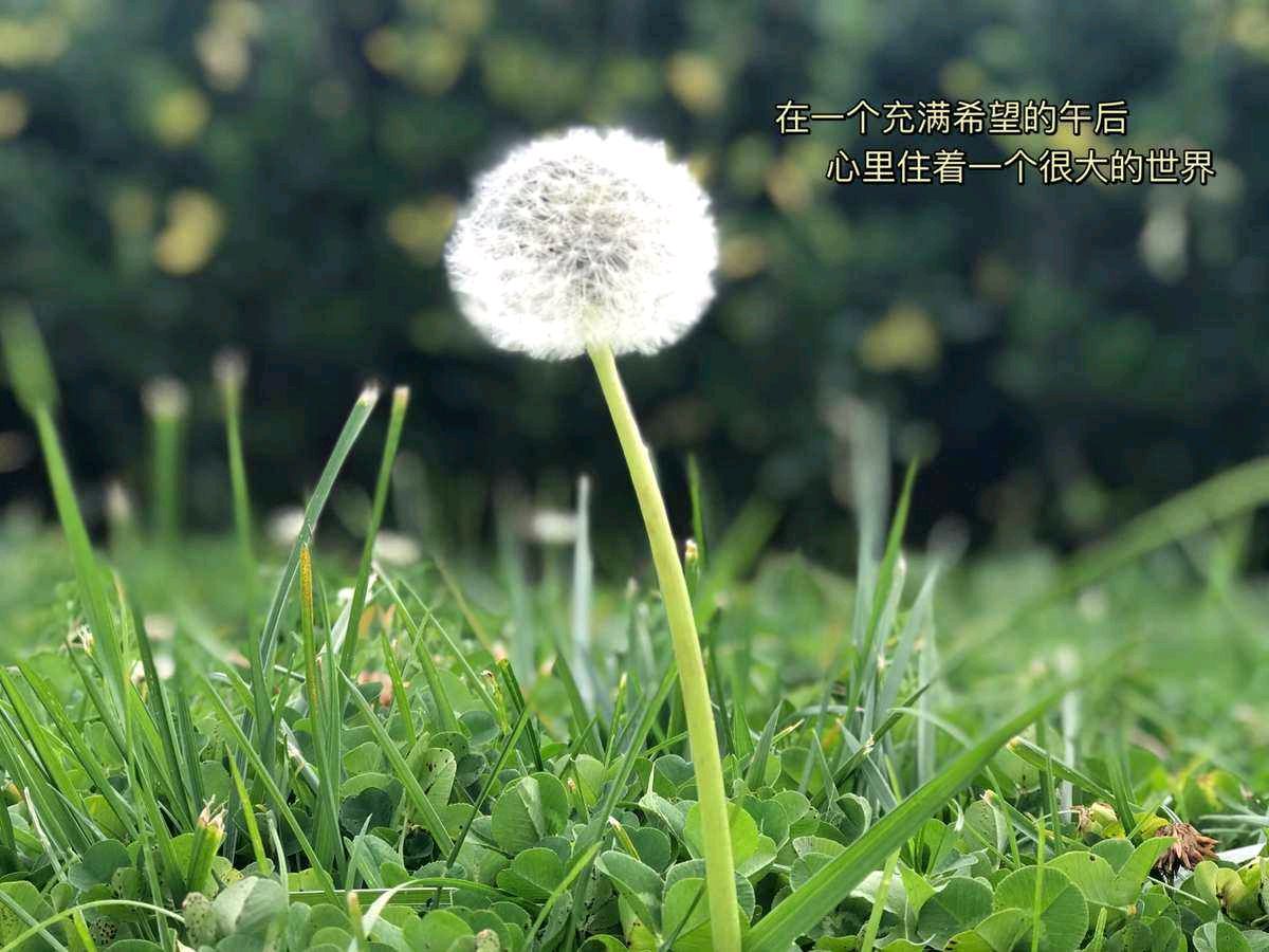 【中国长江文学社】《江雪细雨.后来》作者 小韩妮儿//主播 霞//编辑 岁月静好 第8169期（图6）
