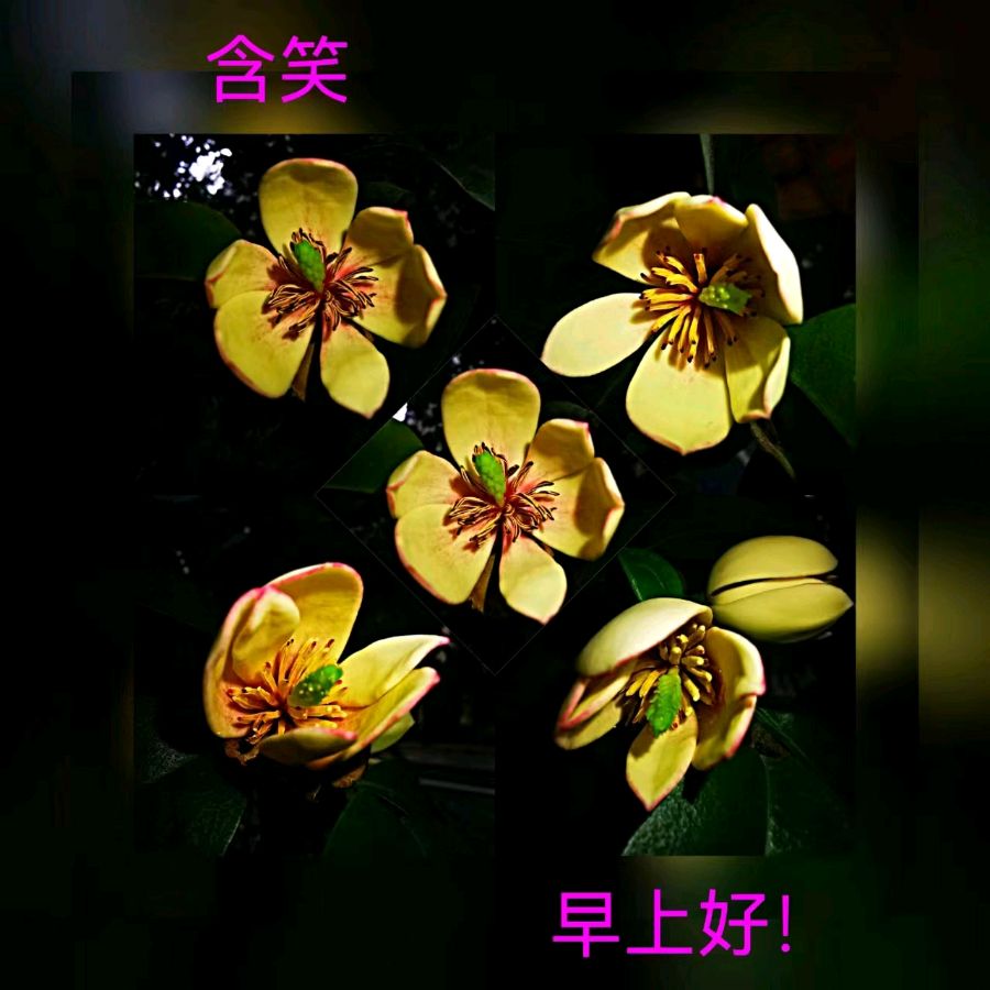 联机全球发布马洪武作品欣赏（图133）
