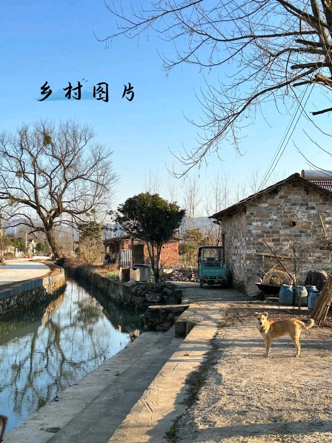 请欣赏八位金牌主播倾情朗诵魏德崙老师的作品《我在夏天等你》编辑//海纳百川【中国长江文学社】有声文学平台【第8178期】（图14）