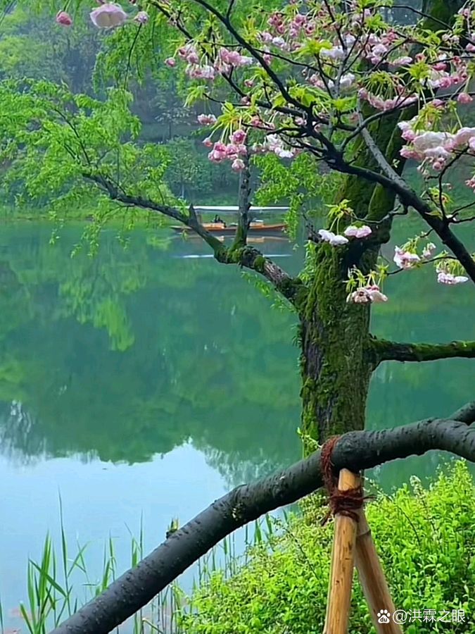 请欣赏八位金牌主播倾情朗诵魏德崙老师的作品《我在夏天等你》编辑//海纳百川【中国长江文学社】有声文学平台【第8178期】（图17）