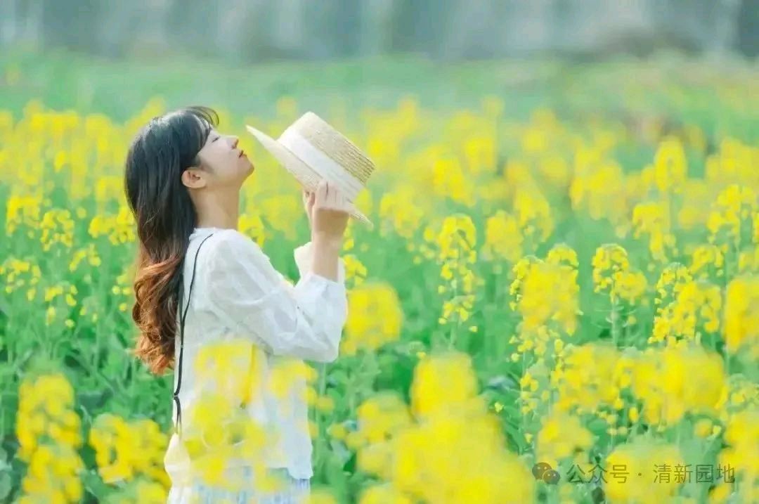 《心中的丰腴》文/林水火（福建）（图3）