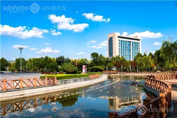 【荣耀中国】临江仙 无情文/于公谨（图3）