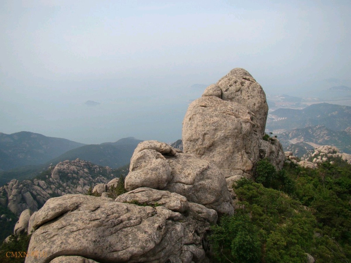 🌳最美生态散文集欣赏🌳《树下无言》厚朴(图4)