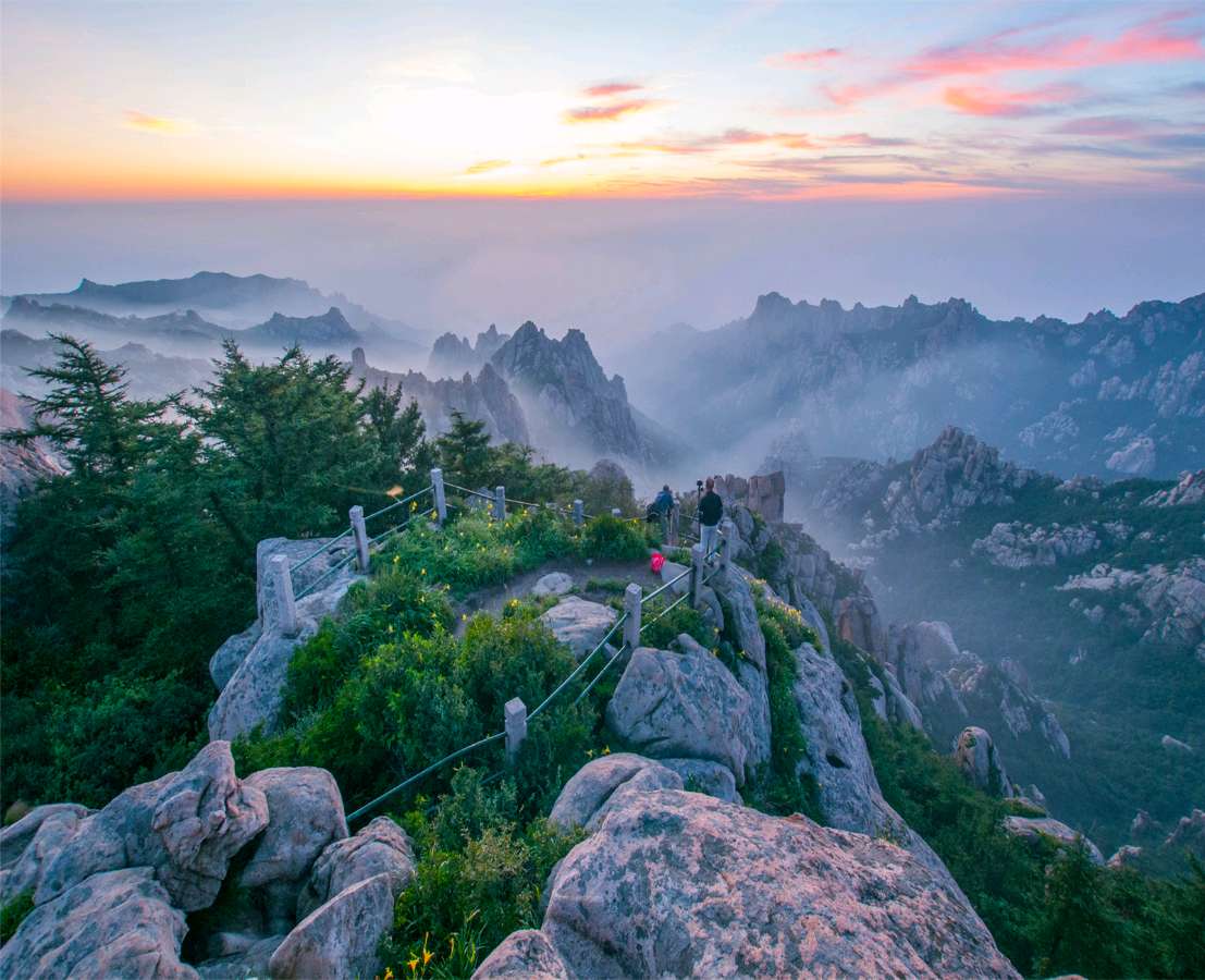 🌳最美生态散文集欣赏🌳《树下无言》厚朴(图6)