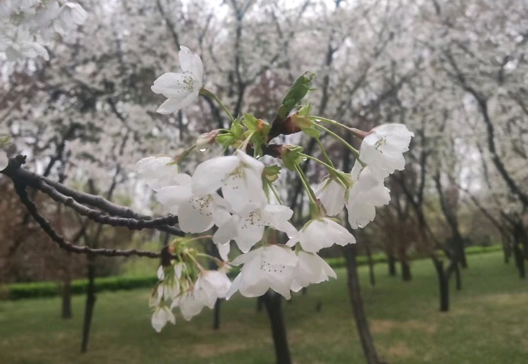 当我沉默的时候（图2）
