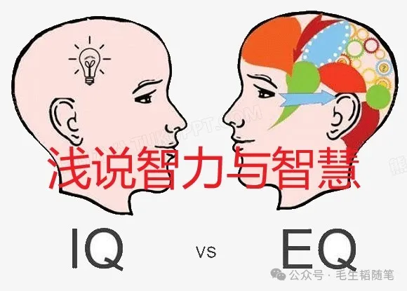 浅说智力和智慧-作者/毛生韬-西银/北京头条(图2)