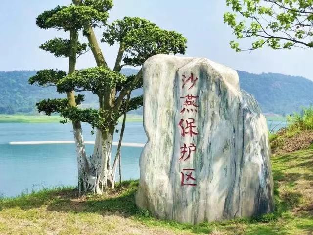 渠公新作:鱼洋筲箕背(图6)