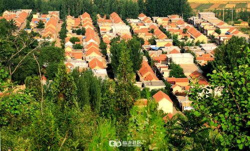 【中国长江文学社】《春光里的小山村》作者 战文山//主播 祥云//编辑 岁月静好 第8188期（图5）
