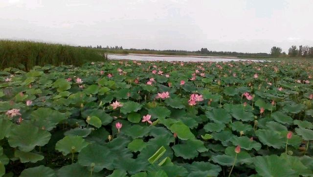 观音点化“翠屏湖”神话传说 ‖ 作者/鹏飞（图9）