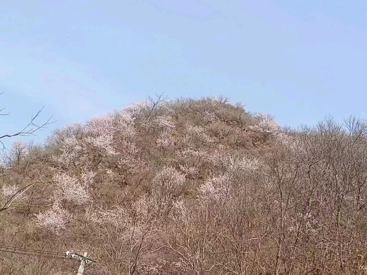 观音点化“翠屏湖”神话传说 ‖ 作者/鹏飞（图6）