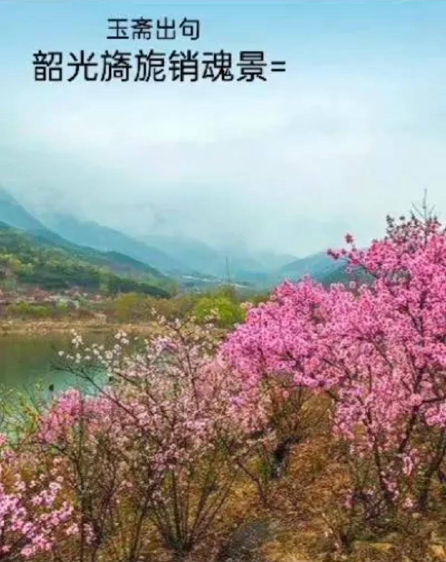 【都市头条向幸福出发编辑部】第10898期 沧州市诗联学会玉斋联林 767