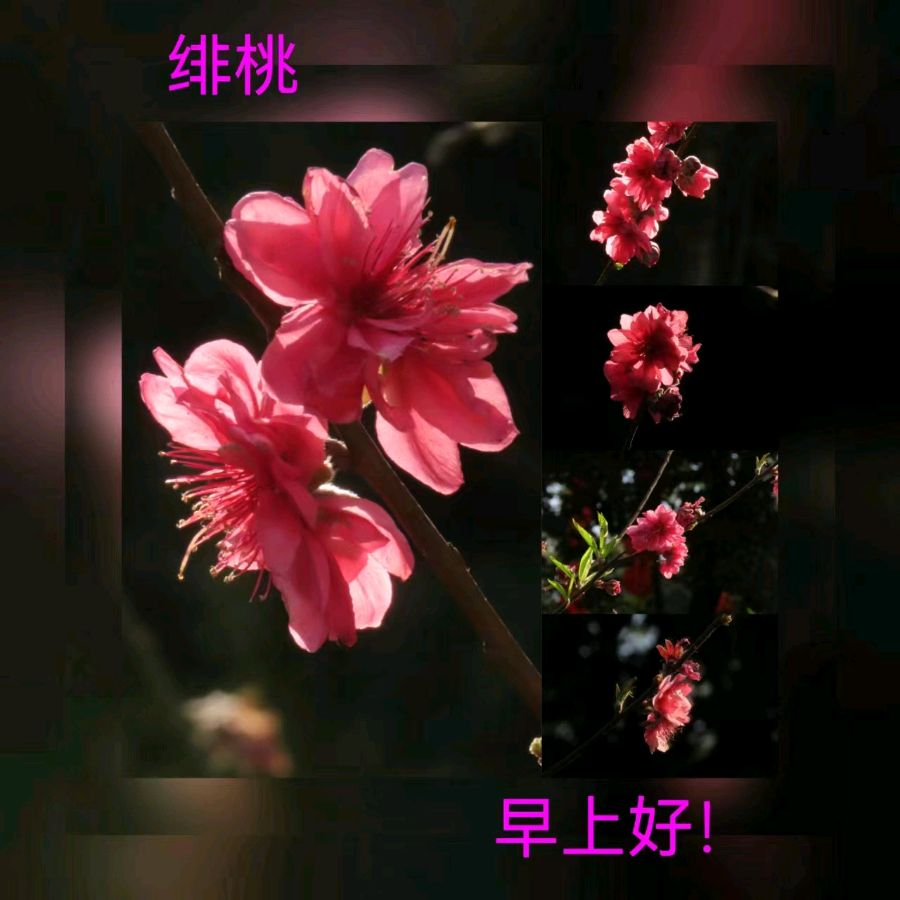 联机全球发布马洪武作品欣赏（图130）