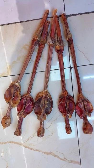 鹿鞭特价促销 京津沪头条
