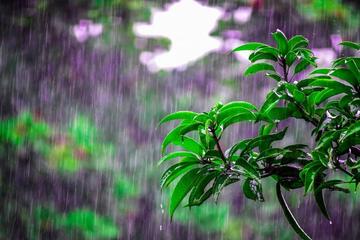 《三月的雨》作者:施宏【主播:雪如玉】【桃源国际诗歌文化传媒】用声音传递温暖以诵读致敬人生♬（图6）