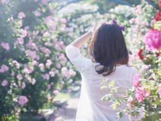 【新山东文学社】《陌上花开（外一首）》作者/苗雅芝（瑞雪 ） 主播/远方（图7）