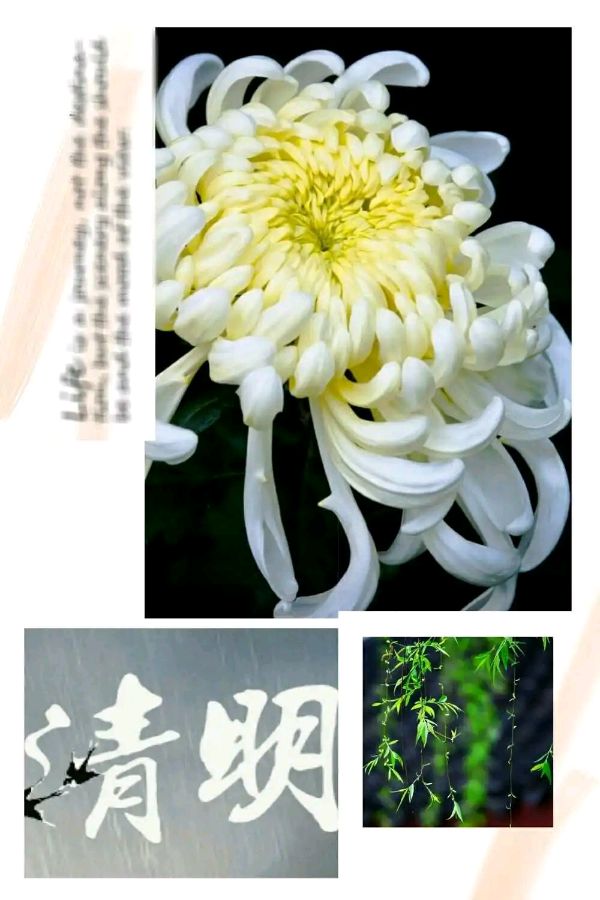 请欣赏六位金牌主播倾情朗诵郑广伟老师的作品《娘是我人生的镜子》编辑//海纳百川【中国长江文学社】有声文学平台【第8218期】（图5）