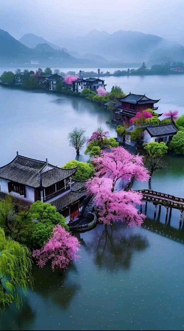 联机全球发布王铁忠作品欣赏（图88）