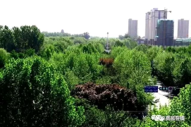 五言律.高邑新景（下平八庚）七言律.万泉河（上平四支）文/刘连芳 主播/高燕（图3）