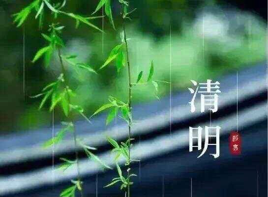 【新诗大观】清明时节话清明||文/柳秋华/曹振锋/冯国防/吴长春/原振兴/冯永强