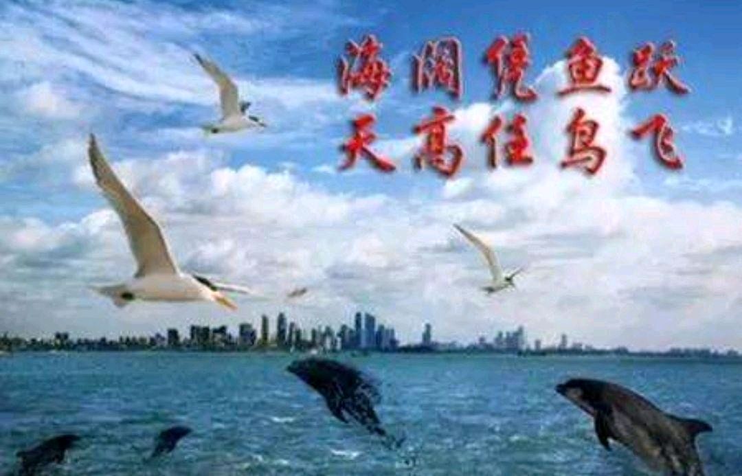 【重磅推出】鲁坡//你若安好便是晴天（图5）