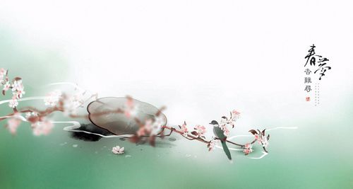 【重磅推出】鲁坡//你若安好便是晴天（图13）