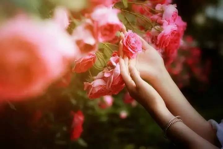 道 ‖ 作者/芙蓉婉儿 朗诵/冰蓝（图10）