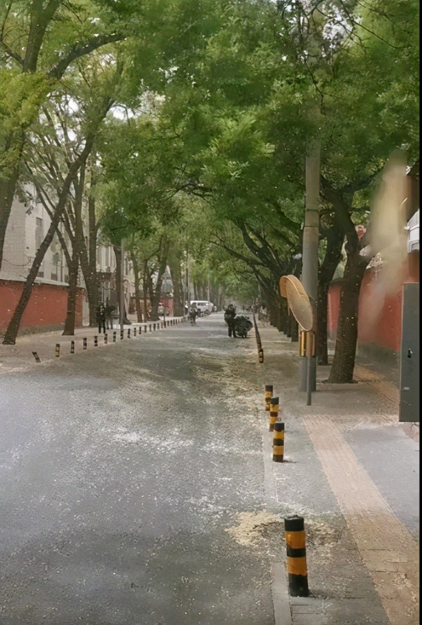 【国风江苏社】七律 . 雨中九仙山（新韵）文/丁启连（图2）