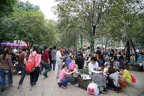 散文-劝君游览高碑店市植物园~作者||王坤(图19)