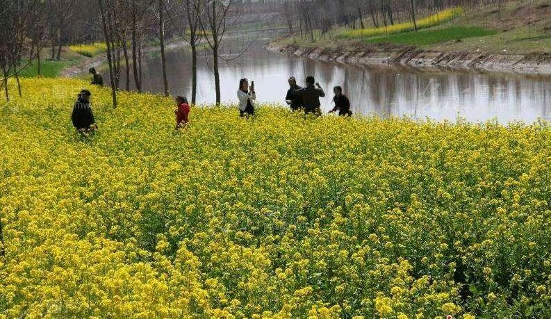 【荣耀中国】七绝·登黄河楼作者/王广民（图6）