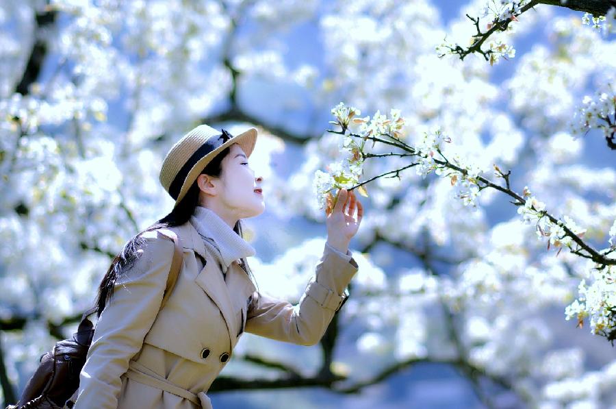万里春-咏桃花（组合）词||旗袍（图17）