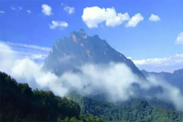 七律-笼中画眉(组合)诗||白小文(图18)