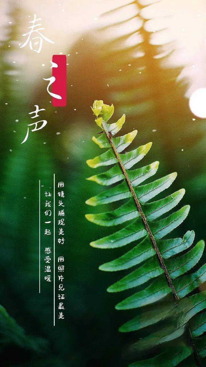 给春天写一首情诗～诗||马文同（图8）