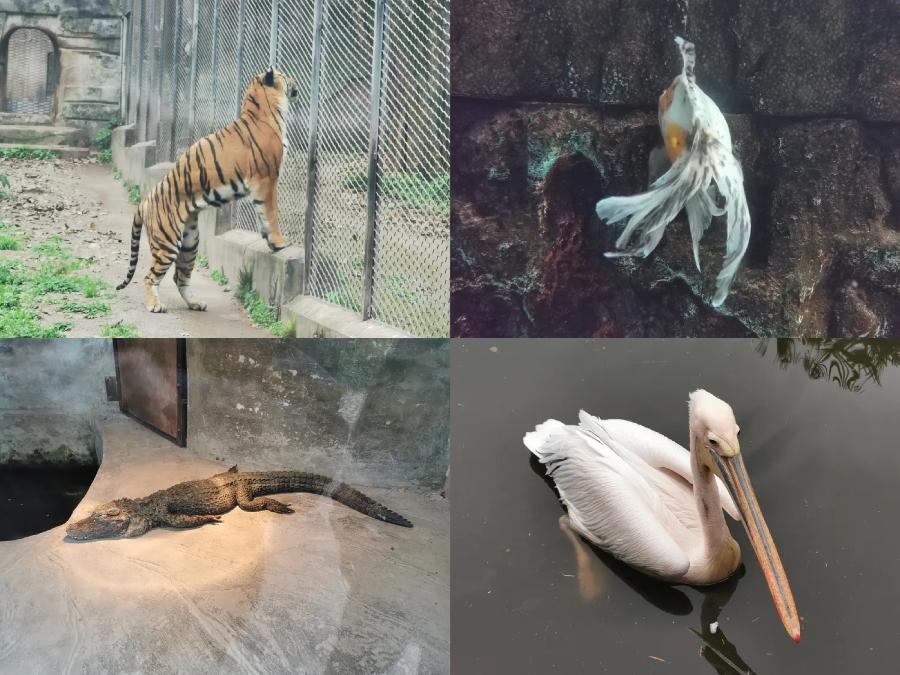 微信图片_20240329174639 微信图片_20240329174639