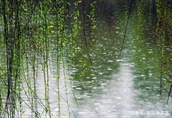 《春雨潇潇》作者/卢进国 主播/看海 编辑/海纳百川【中国长江文学社】有声文学平台【第8227期】（图4）