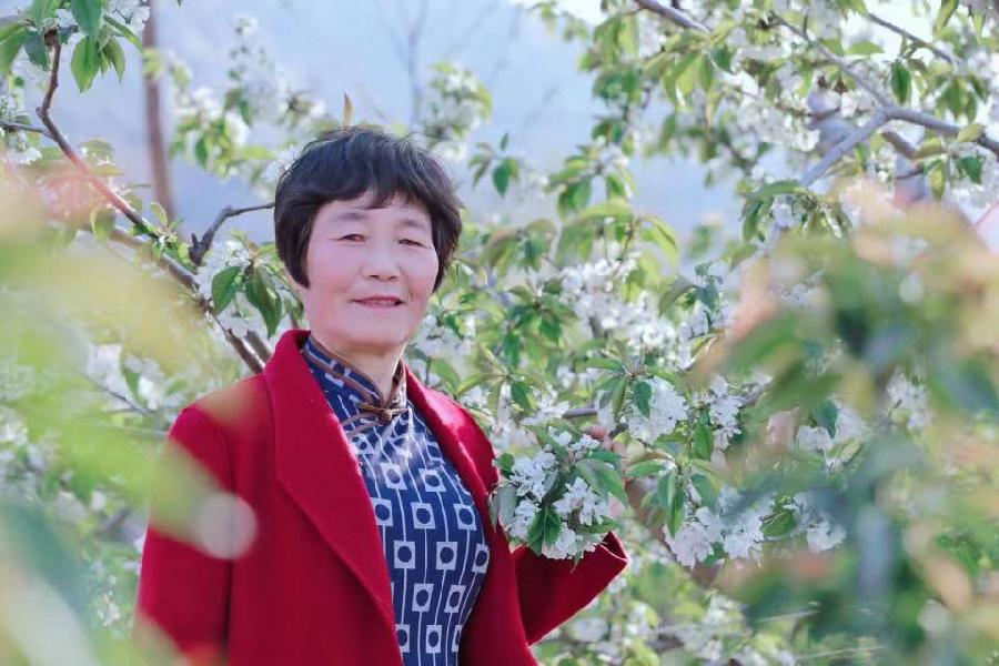 岸芷汀兰文学社第27期(图6)